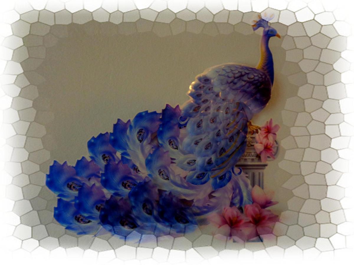 ~peacock House~ *
