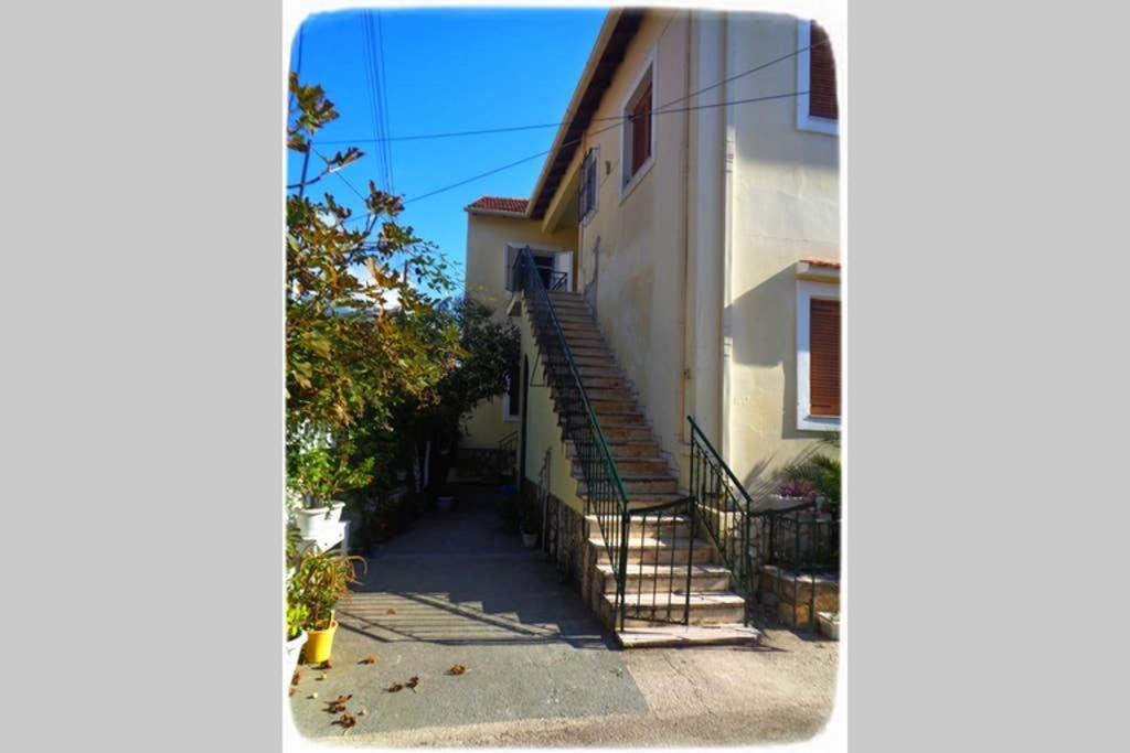 ~peacock House~ 公寓 *